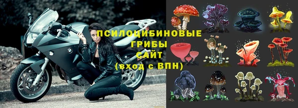 гашик Переславль-Залесский