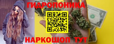 соль ск Ипатово