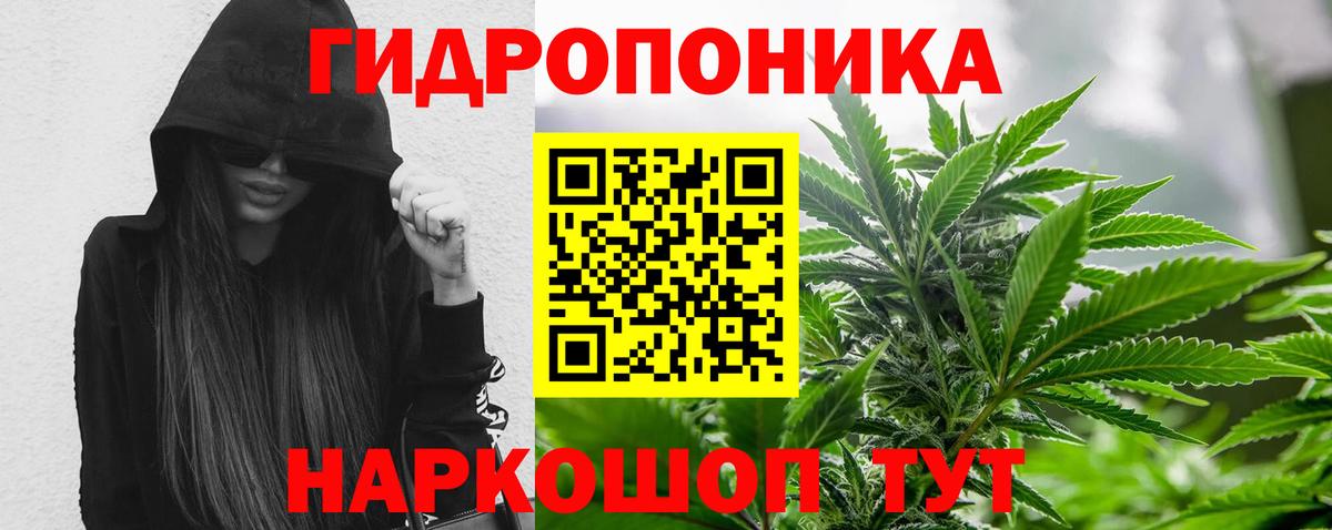 Каннабис  Вход с VPN  COCAIN  Мефедрон   Бошки Шишки  МЕФ  Арсеньев  Гашиш  Кетамин 